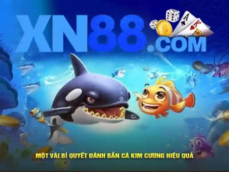 Kết luận và triển vọng