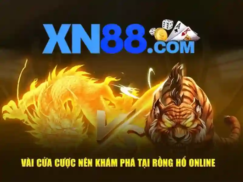 Lịch sử và nguồn gốc của Xn88\n