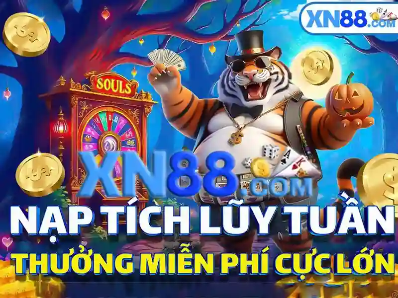 Giới thiệu về XN88