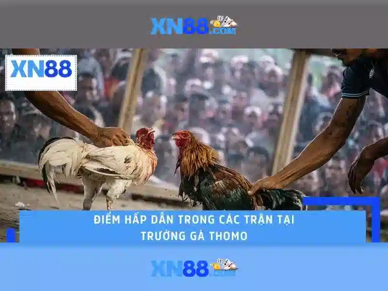 xn88: Nền tảng cá cược trực tuyến nổi bật