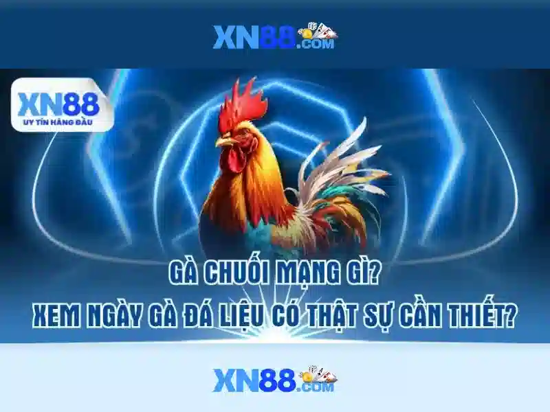 XN88: Đánh giá nền tảng giải trí trực tuyến