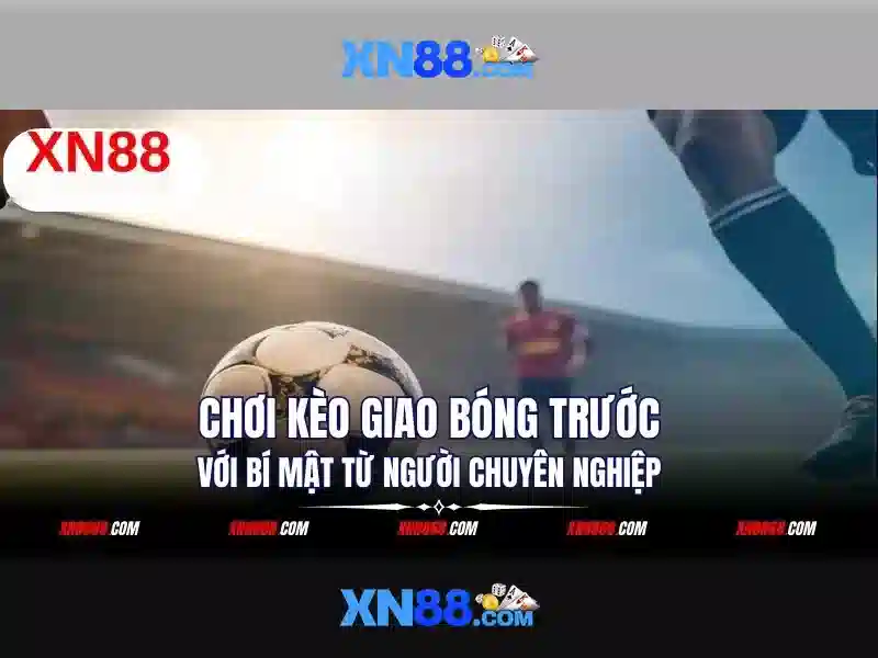 Giới thiệu về xn88