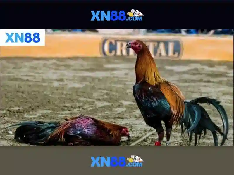 xn88 đăng nhập – Trải nghiệm đột phá và tin cậy