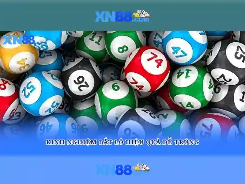 Xn88: Giới thiệu và đánh giá tổng quan