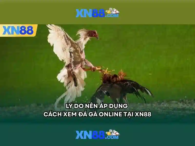 Xn88: Khám phá nền tảng và cộng đồng