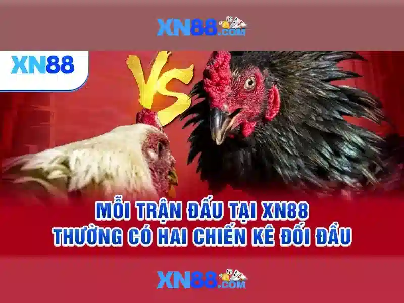 Biểu mẫu điền thông tin ngân hàng để rút tiền xn88