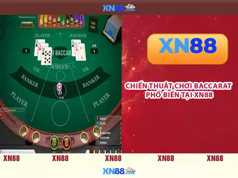 xn88: giới thiệu và phân tích nền tảng cược trực tuyến
