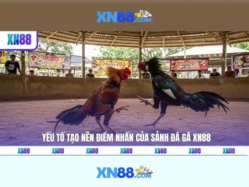 xn88 là gì và cách nó hoạt động