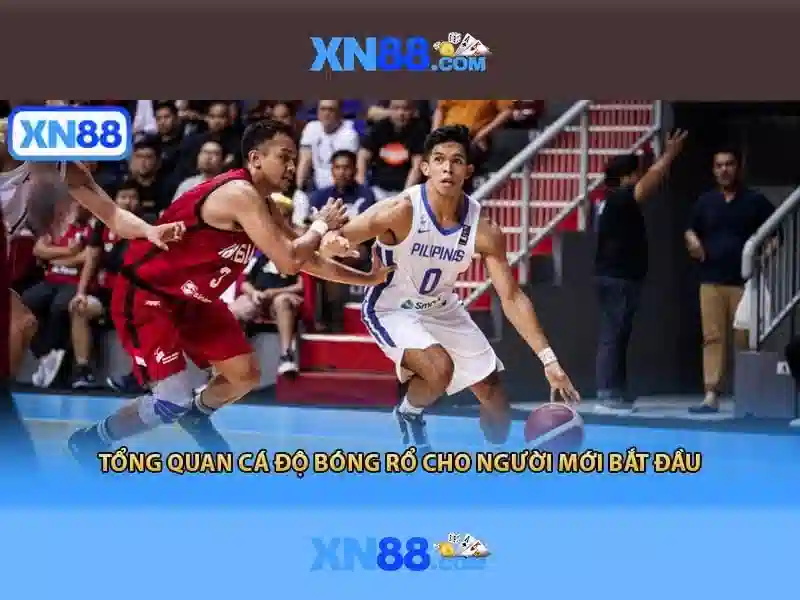 xn88 — một cái nhìn tổng quan
