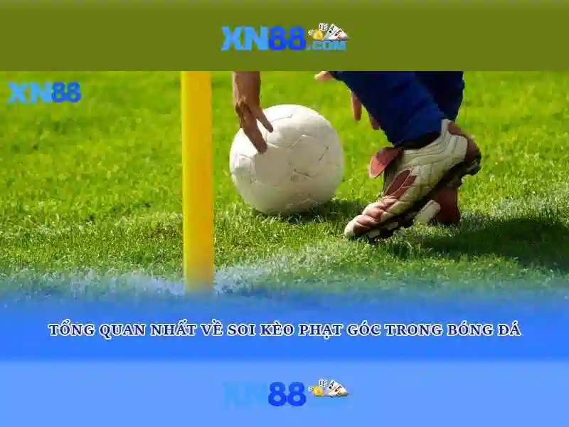 Giới thiệu về xn88\n
