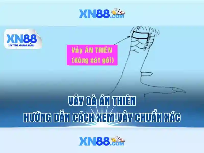 'Kết nguồn gốc và sứ mệnh của xn88 apk'