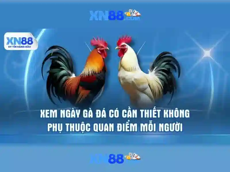 xn88 khuyến mãi nổi bật – trải nghiệm tại xn88 casino
