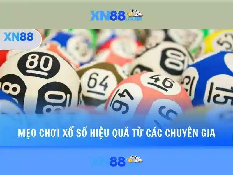xn88,com – Trải nghiệm thương hiệu cược đỉnh cao