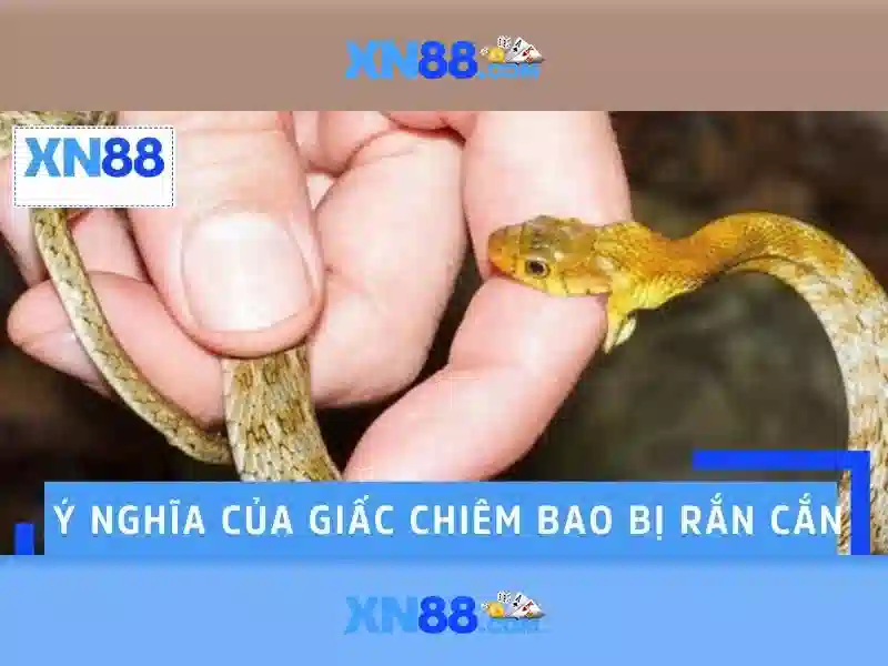 xn88 vip: Trải nghiệm đẳng cấp và chiến lược