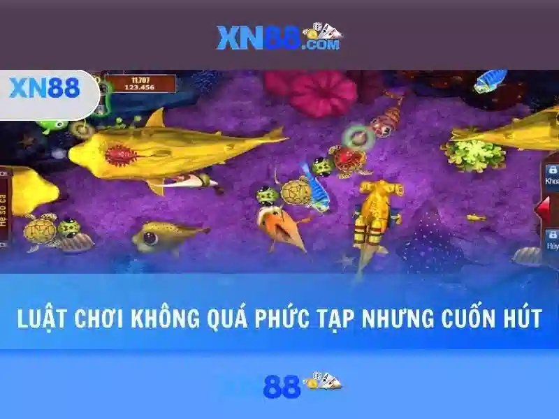 xn88 bet live – Sản phẩm và dịch vụ cốt lõi