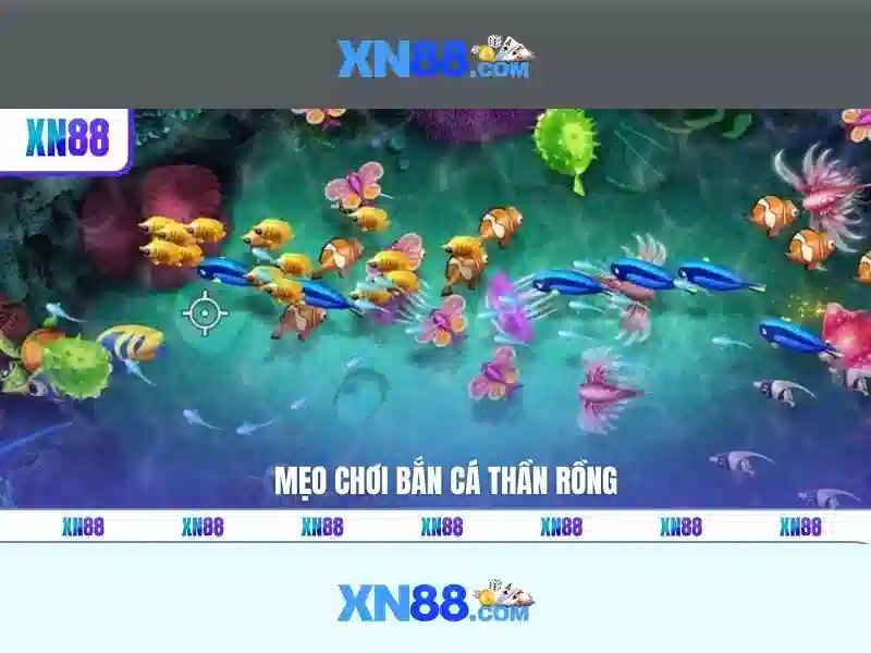 Lịch sử và phát triển của xn88