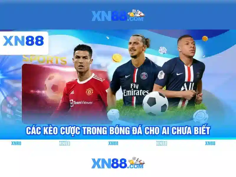 xn88: Tổng quan về một nền tảng trực tuyến