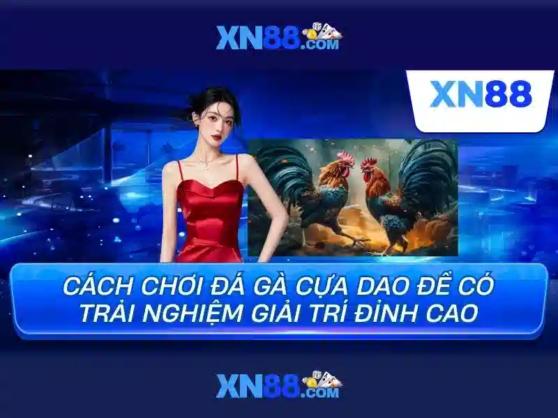 Xn88: Giới thiệu và đánh giá nền tảng cá cược trực tuyến