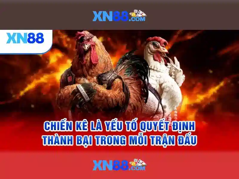 xn88 app com: Trải nghiệm đỉnh cao cùng hệ sinh thái