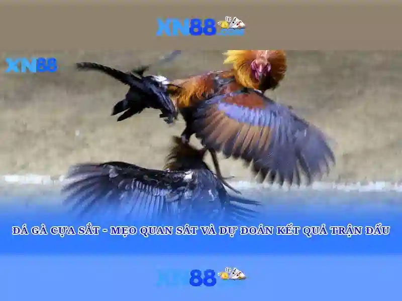 Hỗ trợ khách hàng và thanh toán\n