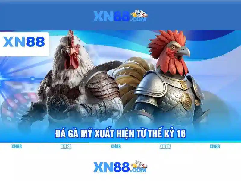 xn88 khuyến mãi – chủ đề tổng quan và giá trị cốt lõi