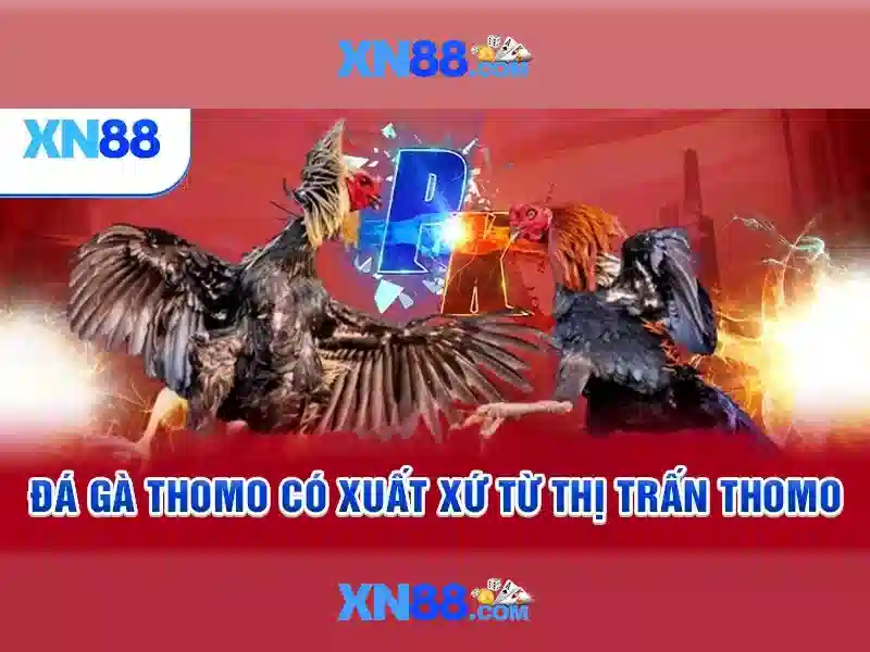 Nguồn gốc và sứ mệnh của xn88