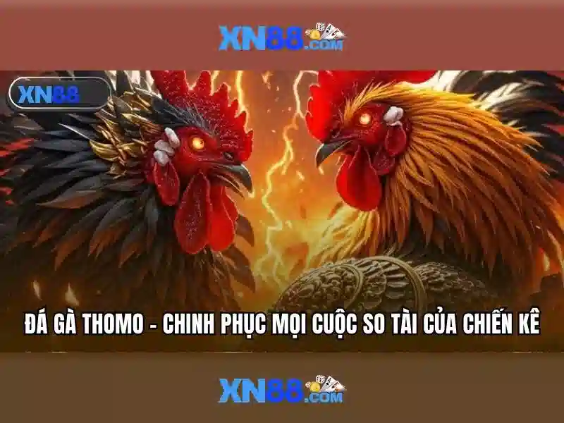 messenger hỗ trợ xn88 – Tổng quan chủ đề và giá trị cốt lõi
