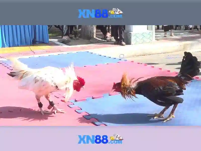 Sản phẩm và dịch vụ chính: ứng dụng của link vào xn88