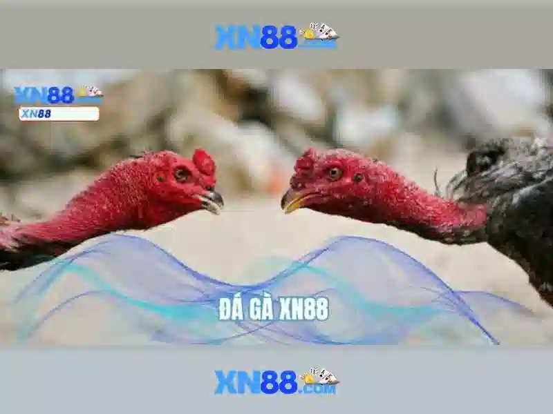Giới thiệu về xn88