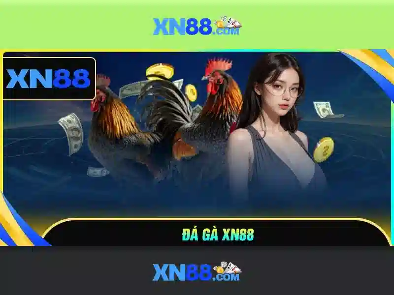 An toàn và trách nhiệm khi chơi