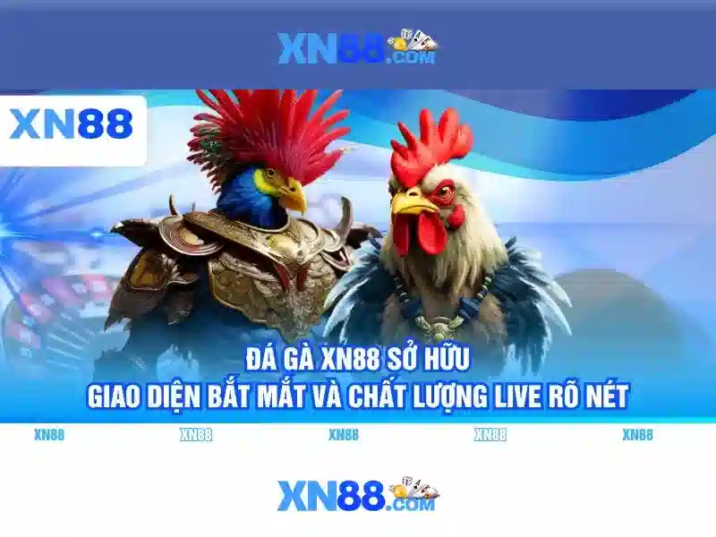 Các sản phẩm nổi bật