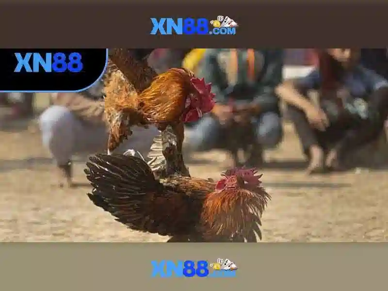 xn88 - Cổng trò chơi trực tuyến và đánh giá tổng quan
