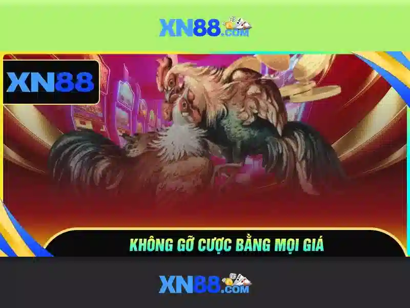 Các tính năng nổi bật của xn88
