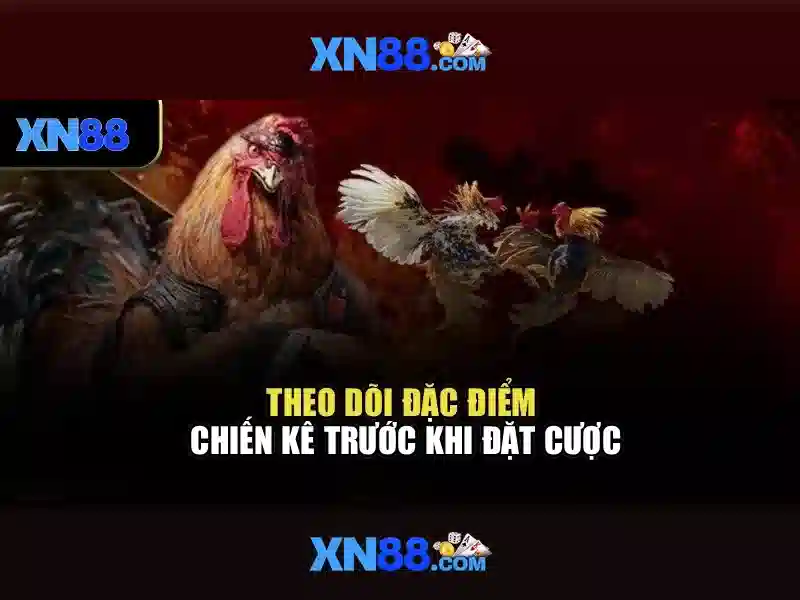 Trải nghiệm người dùng và tương tác
