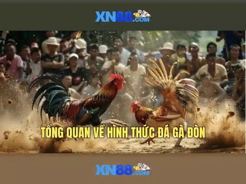 Cac san pham va dich vu cua xn88 slot