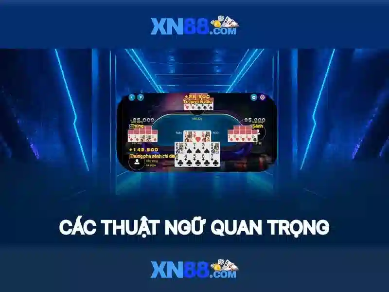Trò chơi và trải nghiệm
