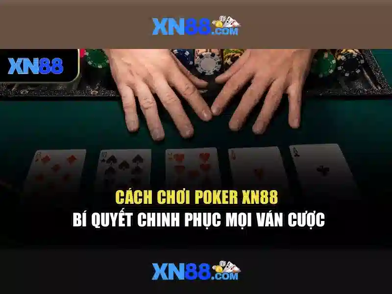 Kết luận