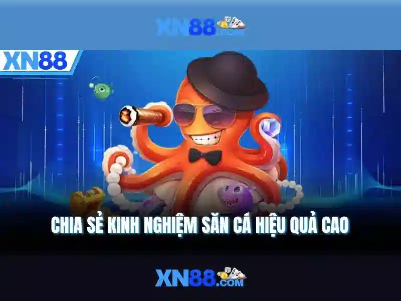 Nguồn gốc và tầm nhìn