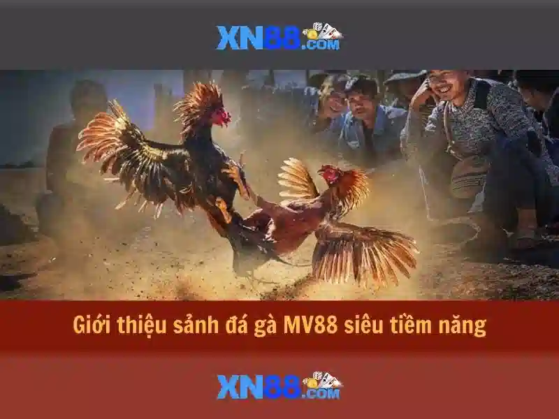 Giới thiệu về xn88