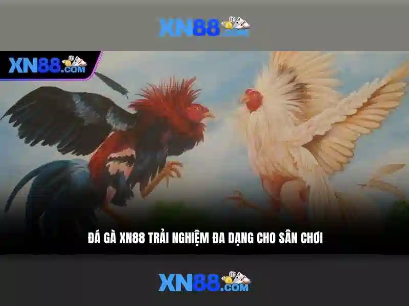 Xn88 - Nền tảng giải trí trực tuyến hàng đầu