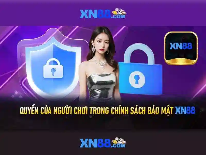 Các tính năng nổi bật\n\n
