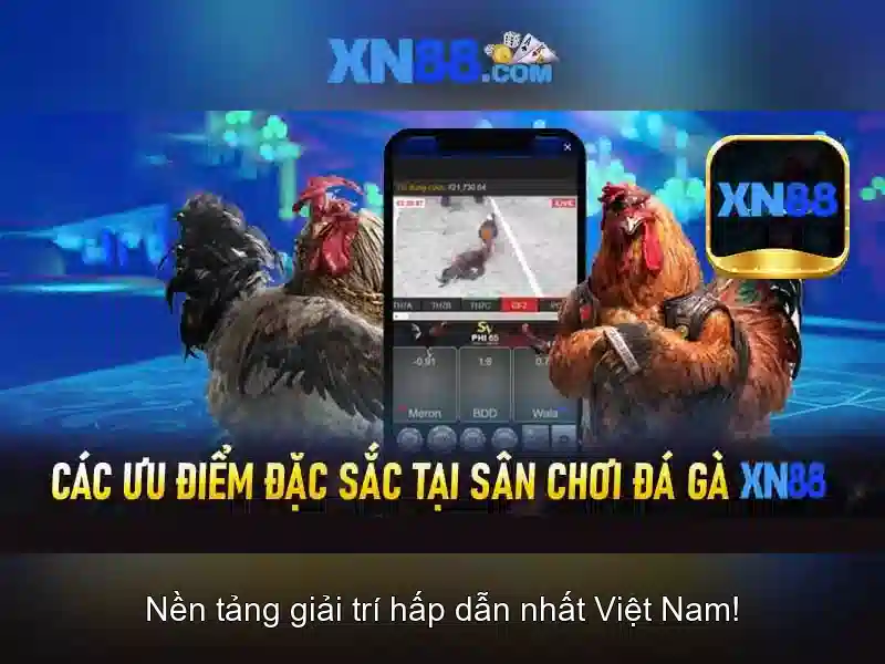 Khuyến mãi và chương trình thưởng trên xn88