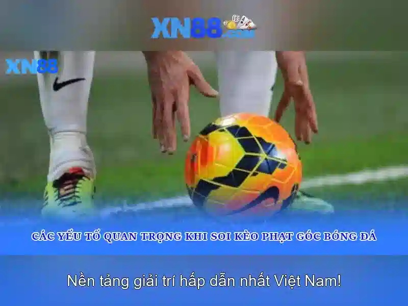 Nền tảng và trải nghiệm người dùng\n