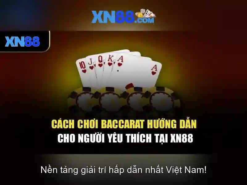 Lịch sử và nguồn gốc\n