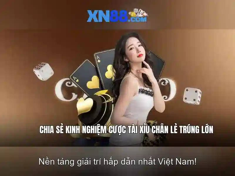 Giao diện và trải nghiệm người dùng