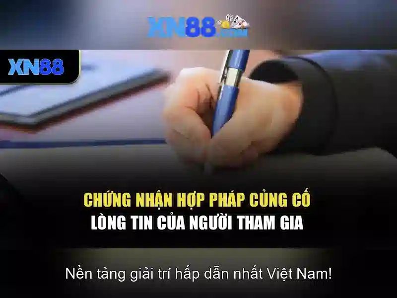Kết luận và triển vọng