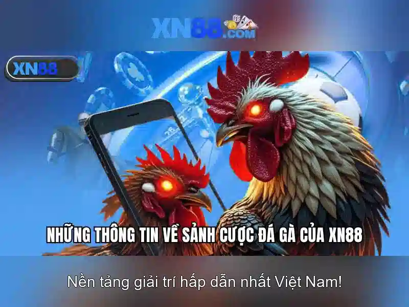 xn88: Tổng quan về nền tảng và các tính năng