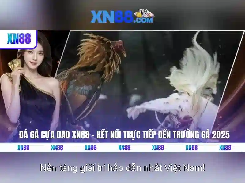 xn88: tổng quan và những lưu ý cho người chơi