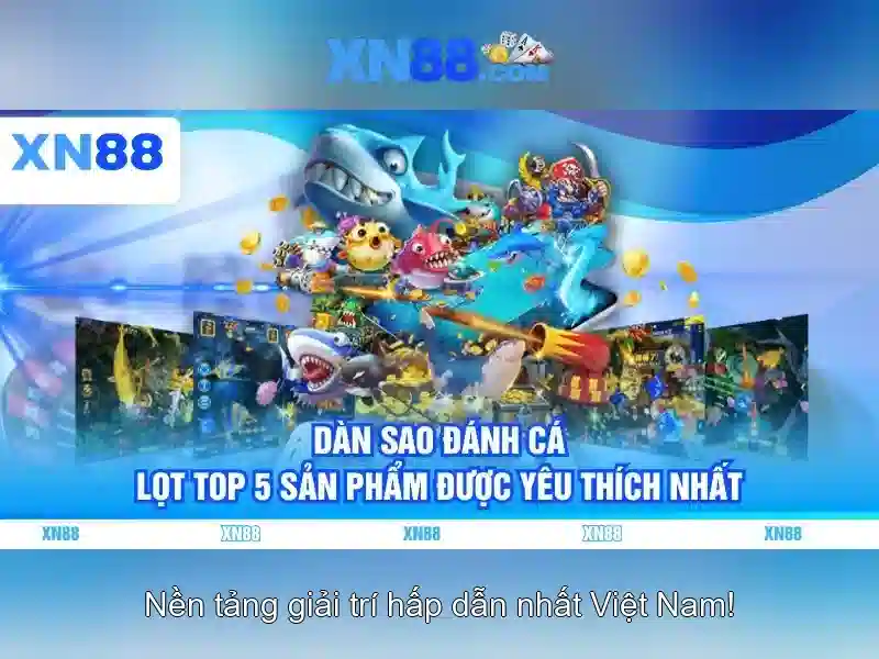Hỗ trợ khách hàng và kết nối