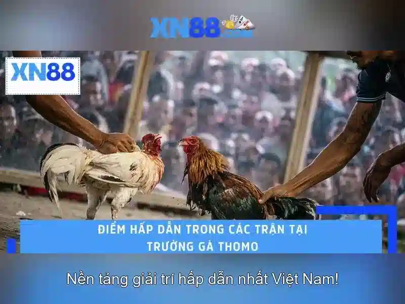 An toàn và tuân thủ pháp lý